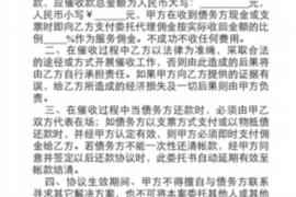 鹤岗如何避免债务纠纷？专业追讨公司教您应对之策